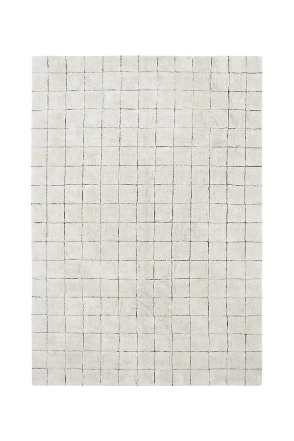C-MOSAIC-S_1.jpg