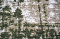 9797_MADMENGRIFF_detail_ecu_WEB.jpg