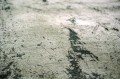 9787_Alpine_detail2_RGB.jpg