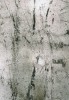 9787_Alpine_Flatdown_RGB.jpg