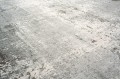 9655_Venus_detail1_WEB.jpg