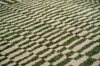 9650_Oasis_detail7_WEB.jpg