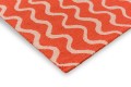 SCI-ribbon-coral-124300 E hr.jpg