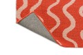 SCI-ribbon-coral-124300 F hr.jpg