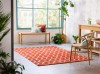SCI-ribbon-coral-124300 SFEER B hr.jpg