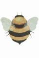 C-BEE_1 (2).jpg