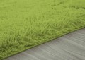 pol_pl_Dywan-Shaggy-Strado-60x90-GreenGrass-Zielony-22277_1.jpg