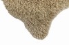 WO-WOOLLY-BG_2.jpg