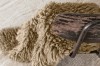 WO-WOOLLY-BG_4.jpg
