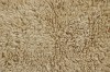 WO-WOOLLY-BG_5.jpg