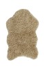 WO-WOOLLY-BG_1.jpg