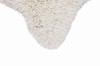 WO-WOOLLY-WH_2.jpg