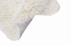 WO-WOOLLY-WH_4.jpg