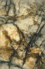 ELIAN IRON_2561_eD1.jpg