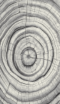 Dywan Dywilan - LUNA 9 Wood Grey