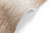 image (9).webp