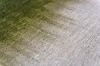 image (19).webp