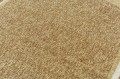 image (10).jpg