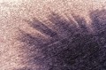 image (8).jpg