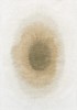 2103_DROP_FAWN_1.jpg