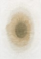 2103_DROP_FAWN_1.jpg
