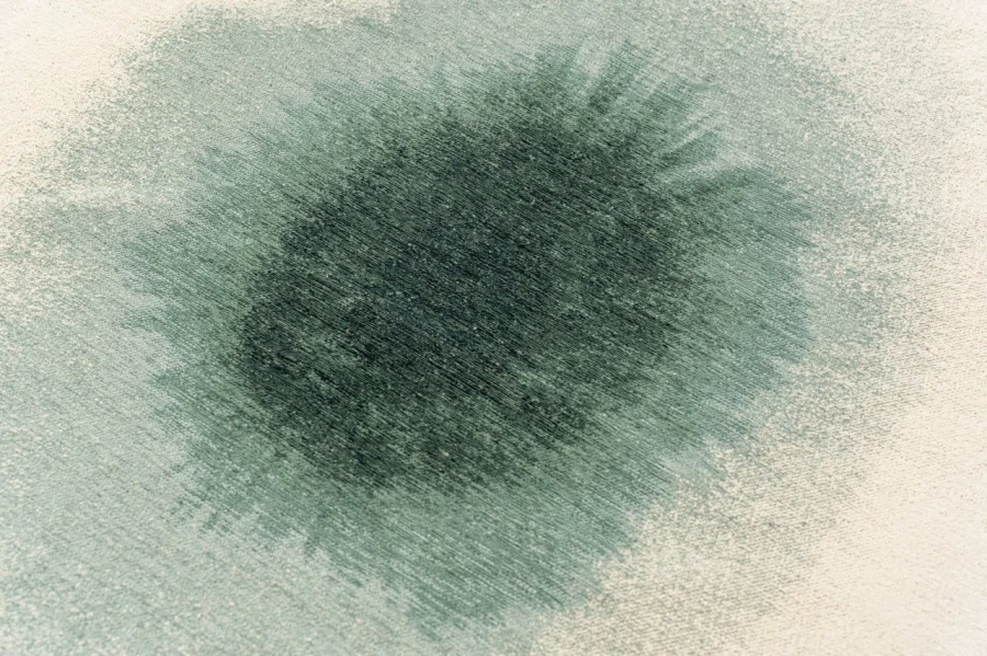 image (18).jpg