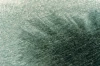 image (41).webp