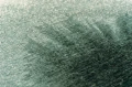 image (41).webp