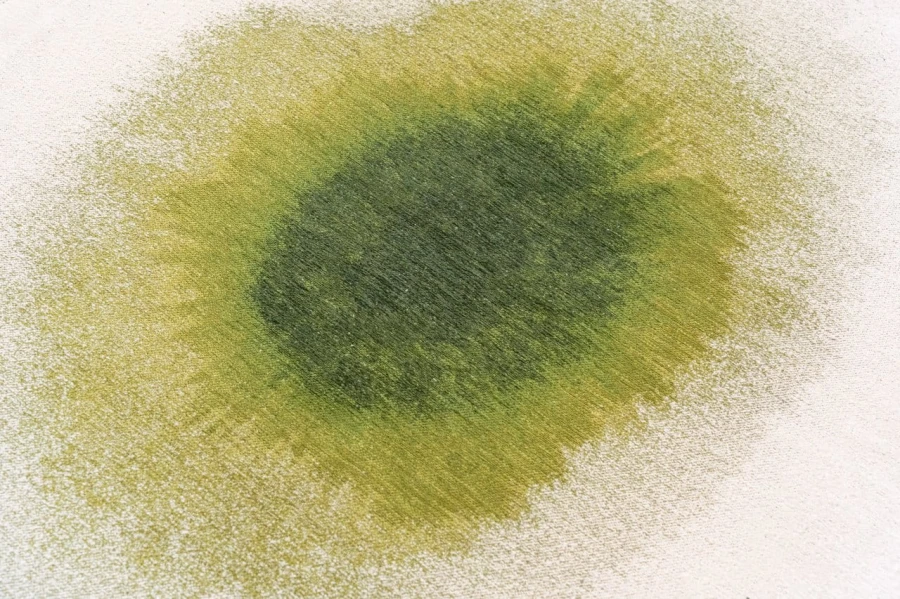 image (20).jpg