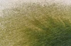 image (46).webp