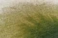 image (46).webp