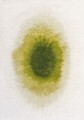 2105_DROP_GREEN_PEPPER_1.jpg