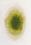 Dywan Louis De Poortere -  DROP 2105 Green Pepper