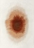 2106_DROP_INDIAN_SNOW_1.jpg