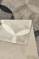 45026-2.webp