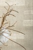 Dywan Agnella Agnus - BRUSH LINES Szary