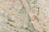 Dywan Rezas - ETERNITY Pastel Palms Silver Pink