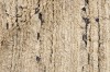Dywan Rezas - LANDSCAPE Straw Camel