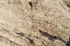 Dywan Rezas - LANDSCAPE Straw Camel