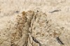 Dywan Rezas - LANDSCAPE Straw Camel